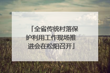 全省传统村落保护利用工作现场推进会在松阳召开