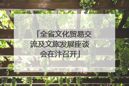 全省文化贸易交流及文旅发展座谈会在汴召开