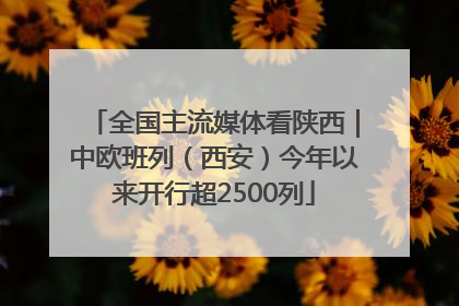 全国主流媒体看陕西｜中欧班列（西安）今年以来开行超2500列