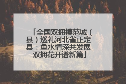 全国双拥模范城（县）巡礼河北省正定县：鱼水情深共发展 双拥花开谱新篇