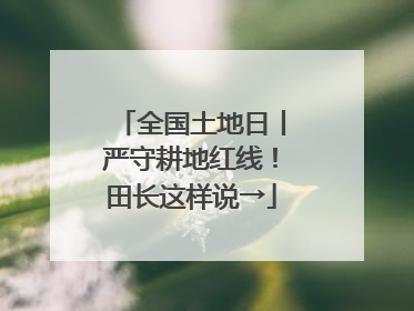 全国土地日丨严守耕地红线！田长这样说→