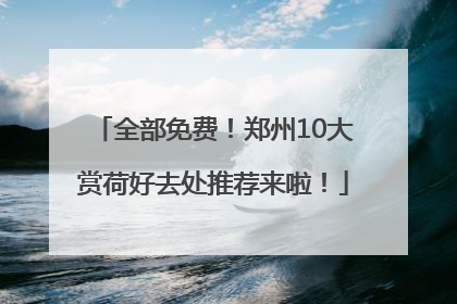 全部免费！郑州10大赏荷好去处推荐来啦！