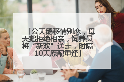 公天鹅移情别恋，母天鹅拒绝相亲，饲养员将“新欢”送走，时隔10天原配重逢