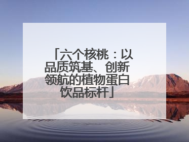 六个核桃：以品质筑基、创新领航的植物蛋白饮品标杆