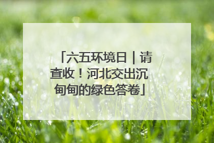 六五环境日｜请查收！河北交出沉甸甸的绿色答卷