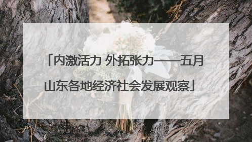 内激活力 外拓张力——五月山东各地经济社会发展观察