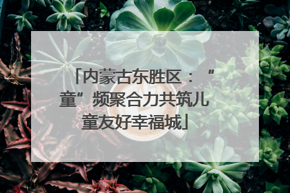 内蒙古东胜区：“童”频聚合力共筑儿童友好幸福城