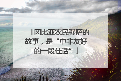 冈比亚农民穆萨的故事，是“中非友好的一段佳话”