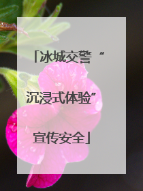 冰城交警“沉浸式体验”宣传安全