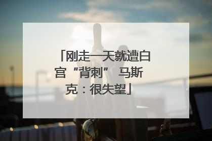 刚走一天就遭白宫“背刺” 马斯克：很失望