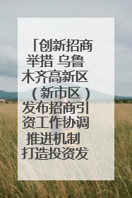 创新招商举措 乌鲁木齐高新区（新市区）发布招商引资工作协调推进机制 打造投资发展新高地