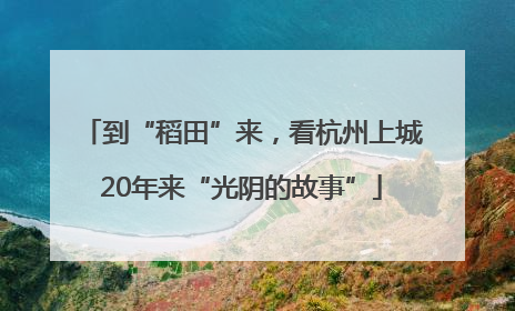 到“稻田”来，看杭州上城20年来“光阴的故事”