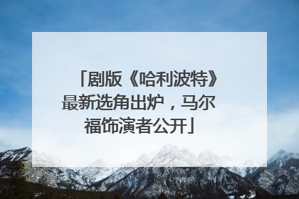 剧版《哈利波特》最新选角出炉，马尔福饰演者公开