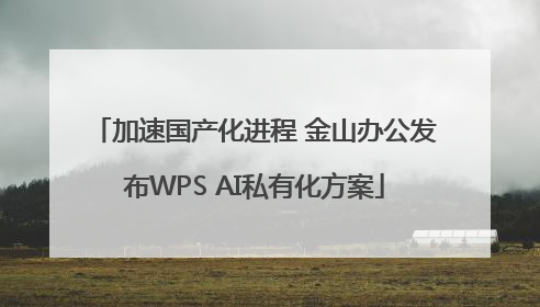 加速国产化进程 金山办公发布WPS AI私有化方案
