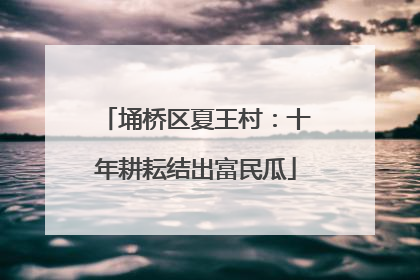 埇桥区夏王村：十年耕耘结出富民瓜