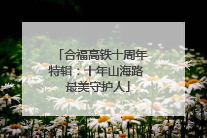 合福高铁十周年特辑：十年山海路 最美守护人