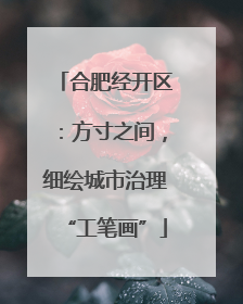 合肥经开区：方寸之间，细绘城市治理“工笔画”