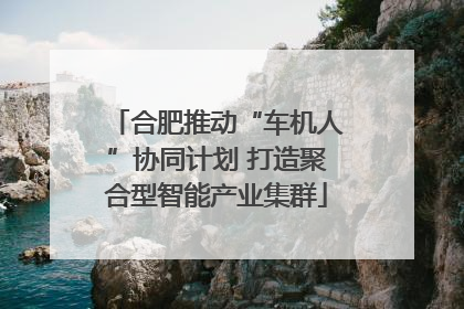 合肥推动“车机人”协同计划 打造聚合型智能产业集群