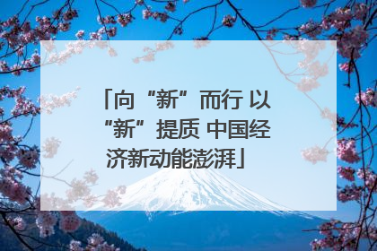 向“新”而行 以“新”提质 中国经济新动能澎湃