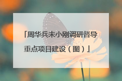 周华兵未小刚调研督导重点项目建设（图）