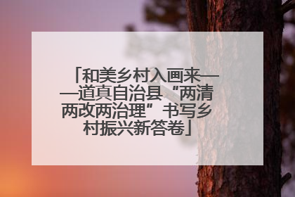和美乡村入画来——道真自治县“两清两改两治理”书写乡村振兴新答卷