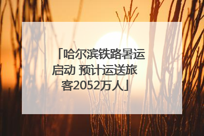 哈尔滨铁路暑运启动 预计运送旅客2052万人