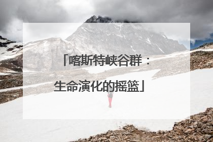 喀斯特峡谷群：生命演化的摇篮