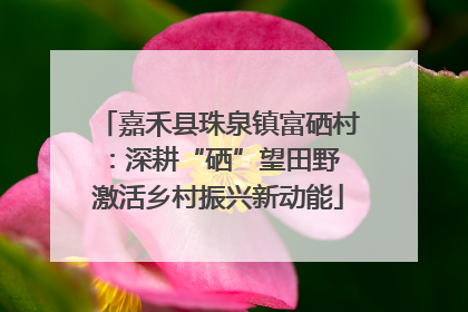 嘉禾县珠泉镇富硒村：深耕“硒”望田野 激活乡村振兴新动能