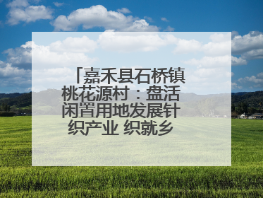 嘉禾县石桥镇桃花源村：盘活闲置用地发展针织产业 织就乡村振兴新图景