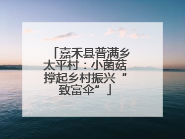 嘉禾县普满乡太平村：小菌菇撑起乡村振兴“致富伞”