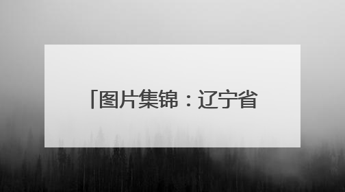 图片集锦：辽宁省第十一届国防体育运动锦标赛在沈阳于洪区精彩上演