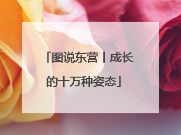 图说东营丨成长的十万种姿态