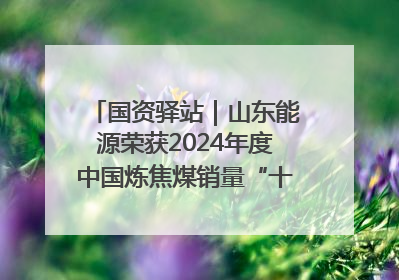 国资驿站｜山东能源荣获2024年度中国炼焦煤销量“十强”；全国首例铁路盖上智慧物流园钢结构主体完工