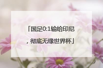 国足0:1输给印尼，彻底无缘世界杯