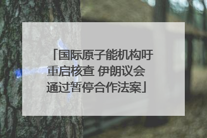 国际原子能机构吁重启核查 伊朗议会通过暂停合作法案