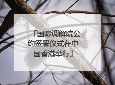 国际调解院公约签署仪式在中国香港举行