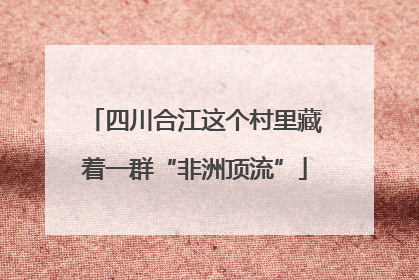 四川合江这个村里藏着一群“非洲顶流”