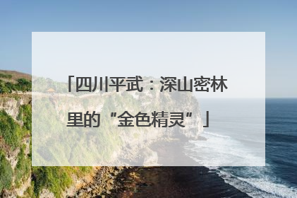 四川平武：深山密林里的“金色精灵”