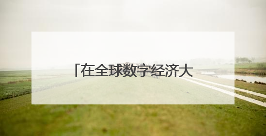 在全球数字经济大会上，人工智能倡导“以人为本”