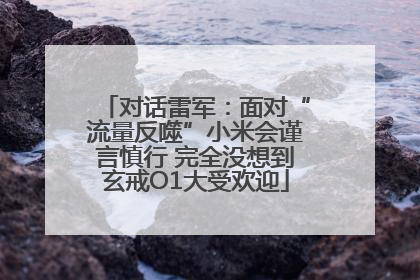 对话雷军：面对“流量反噬”小米会谨言慎行 完全没想到玄戒O1大受欢迎