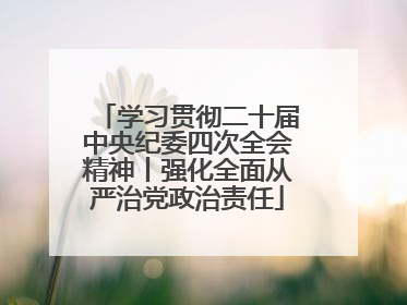 学习贯彻二十届中央纪委四次全会精神丨强化全面从严治党政治责任