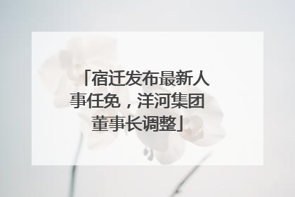 宿迁发布最新人事任免，洋河集团董事长调整