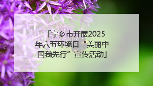 宁乡市开展2025年六五环境日“美丽中国我先行”宣传活动