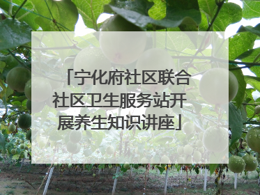 宁化府社区联合社区卫生服务站开展养生知识讲座