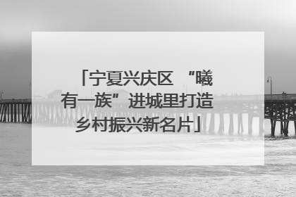 宁夏兴庆区 “曦有一族”进城里打造乡村振兴新名片
