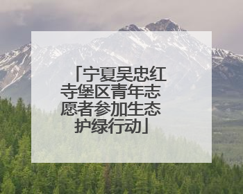 宁夏吴忠红寺堡区青年志愿者参加生态护绿行动