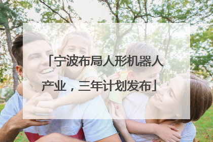 宁波布局人形机器人产业，三年计划发布