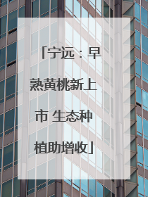 宁远：早熟黄桃新上市 生态种植助增收