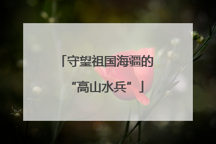 守望祖国海疆的“高山水兵”