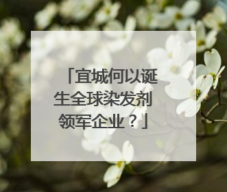 宜城何以诞生全球染发剂领军企业？